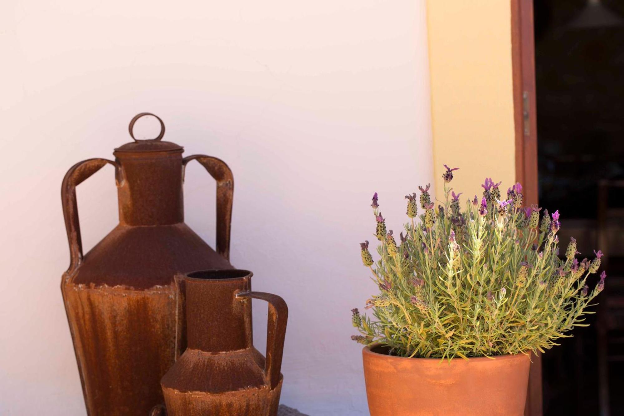 B&B Candelaria Corregos de Monte Seco Eksteriør bilde