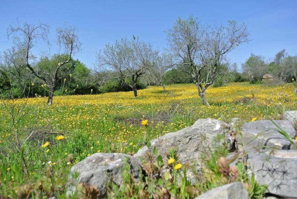 B&B Candelaria Corregos de Monte Seco Eksteriør bilde